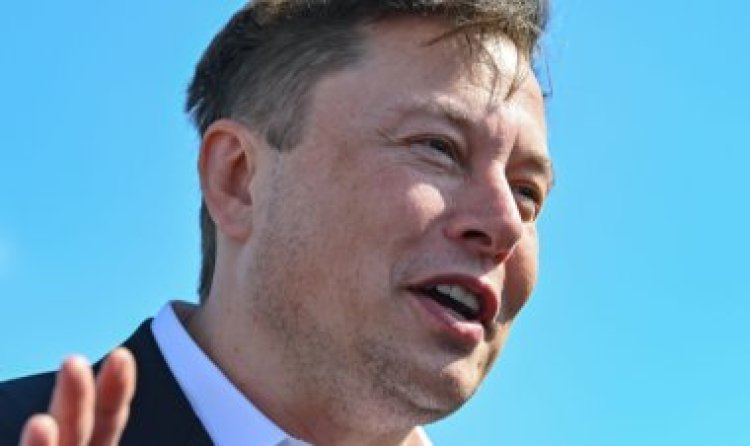 Tesla chief Elon Musk and Doge co-founder Jackson Palmer have a spat