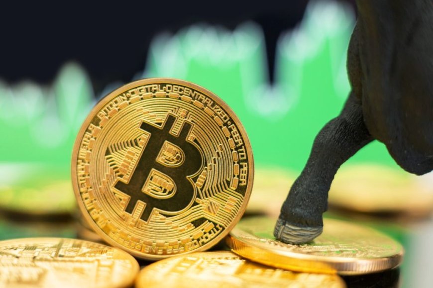 Reasons Why Bitcoin (BTC) Price Rally Is Likely Soon Over