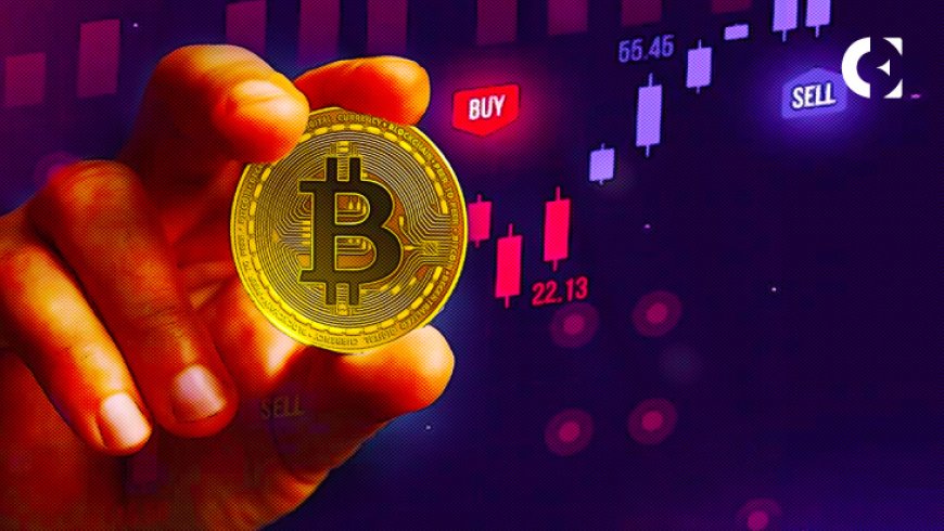 Expert: Market Makers Behind Bitcoin Trading Volume Stability