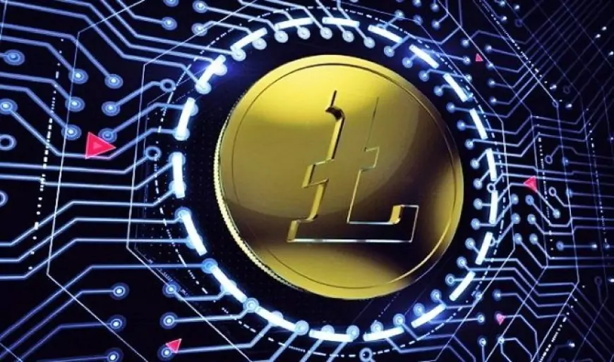 Litecoin’s Halvening Price Drop Is No Proxy for Bitcoin Next Year